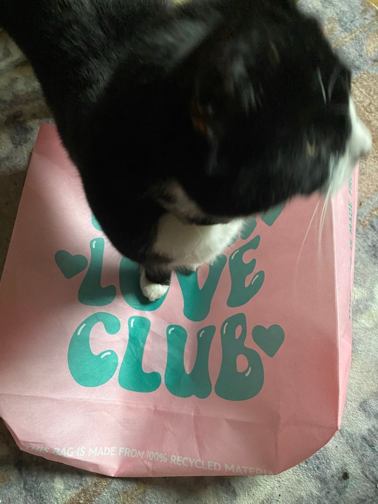 Tuxedo cat stood on a pink shopping bag obscuring one of the words to leave only “love club” in green typeface visible. He is looking away in disgust 