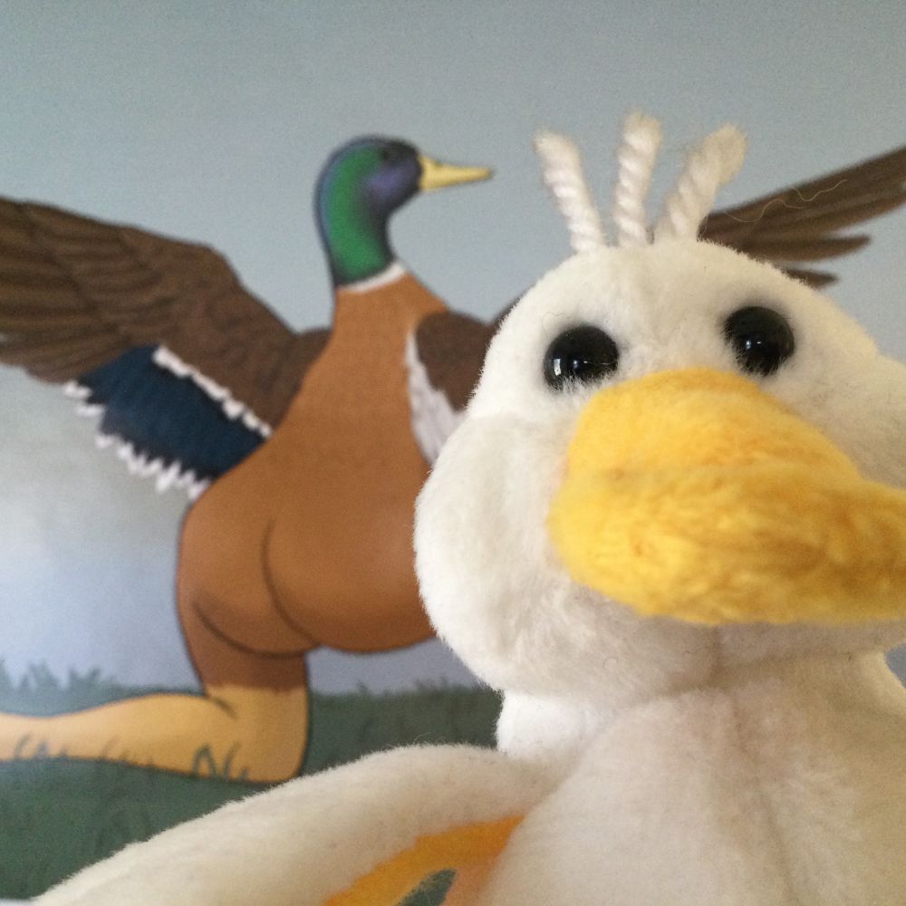 A selfie taken by a small plush toy duck, in front of an extremely accurate drawing of a mallard duck.