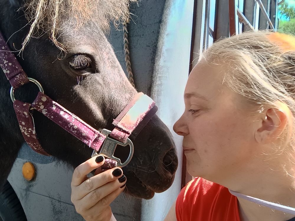 Shetlandpony und ich, Nase an Nase