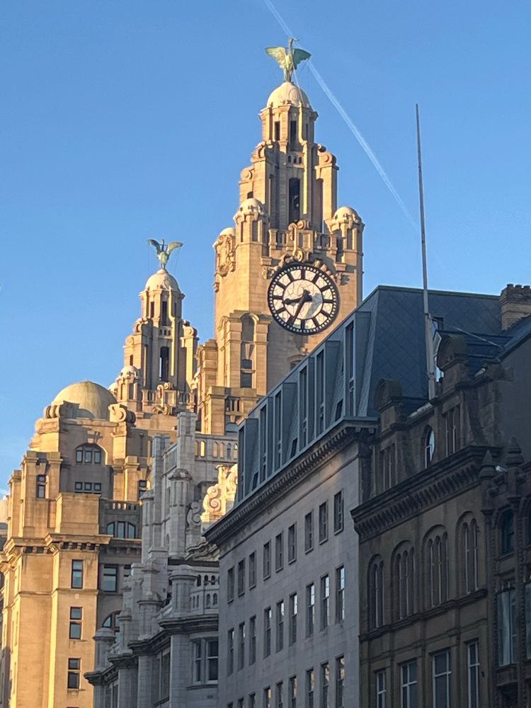 liver buikding in winter sunshine 