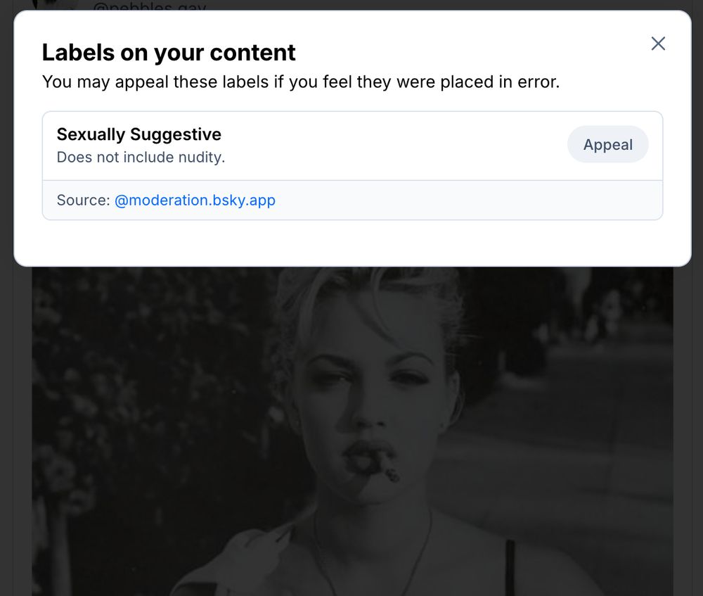 Labels on your content 
You may appeal these labels if you feel they were placed in error.

Sexually Suggestive 
Does not include nudity. 

Source: @moderation.bsky.app