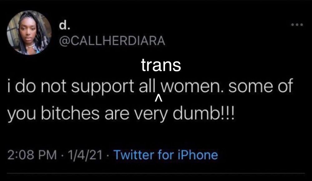 @CALLHERDIARA

i do not support all [trans] women. some of you bitches are very dumb!!!

2:08 PM • 1/4/21

[modified twitter screenshot]