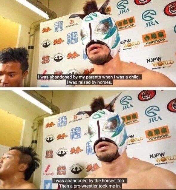 Two stills of a masked pro wrestler cutting a promo. Text reads "I was abanonded by my parents when I was a child. I was raised by horses. I was abandoned by the horses too. Then a pro wrestler took me in."