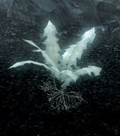 Ninroot from the video game Skyrim, a glowing multi leaf plant that emits sound 