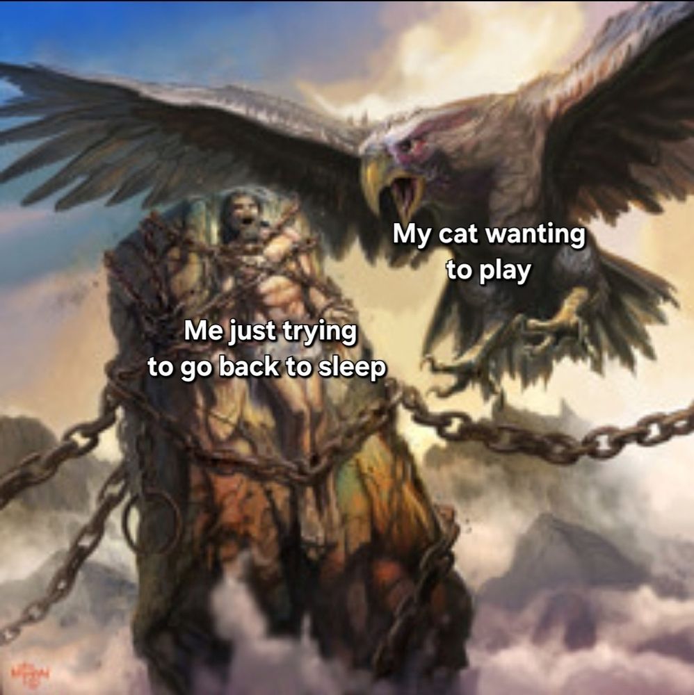 The punishment of Prometheus. He's chained to a rock for stealing fire and giving it to man. A giant eagle is swooping in menacingly to nibble on that liver baby. The eagle is captioned: my cat wanting to play. Prometheus is captioned: Me just trying to go back to sleep
