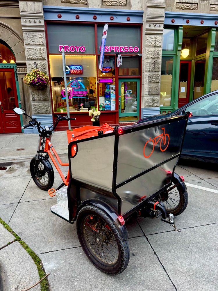 Rad burro looking clean in front of the froyo shop in downtown port townsend
