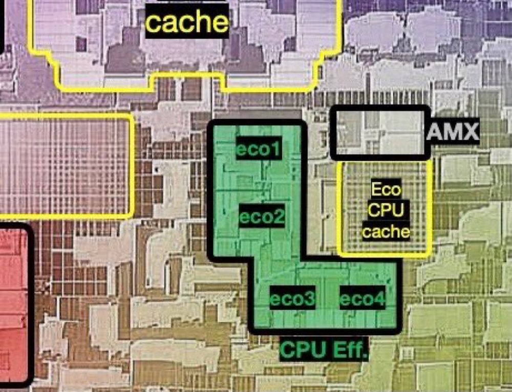 Les 4 coeurs efficients de la puce M3 et le cache mémoire et au dessus de celui-ci le bloc AMX.
