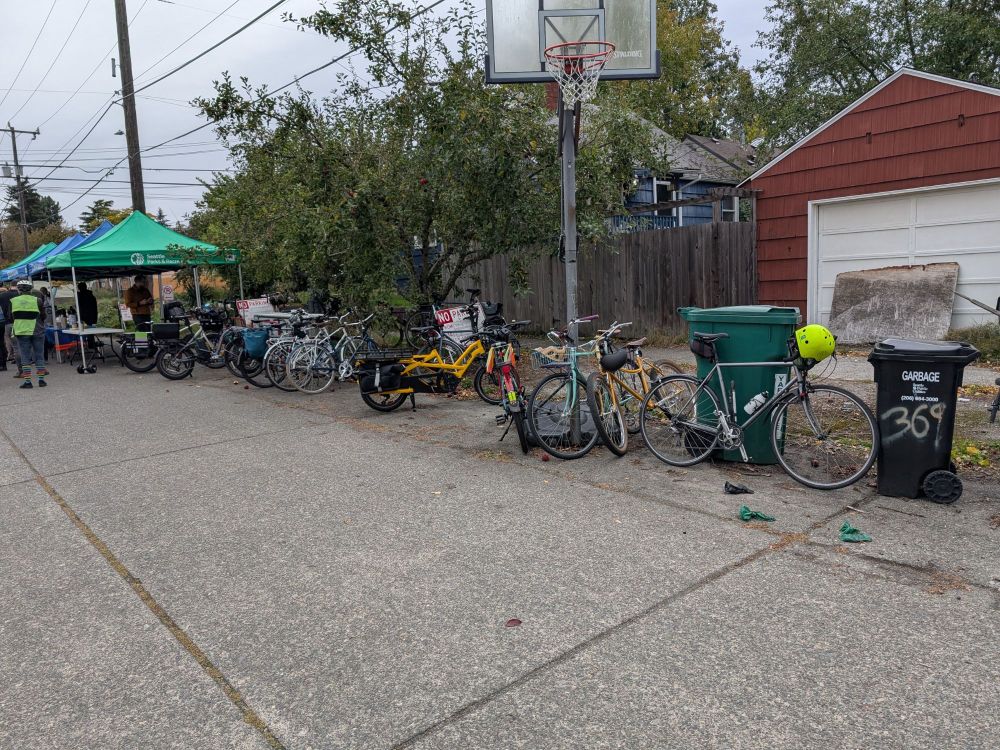 Many bikes, of all kinds. Family bikes, cargo, ebikes and acoustic.