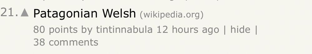 A partial screengrab of the Hacker News website. Patagonian Welsh has risen to number 21 on the list on the home page