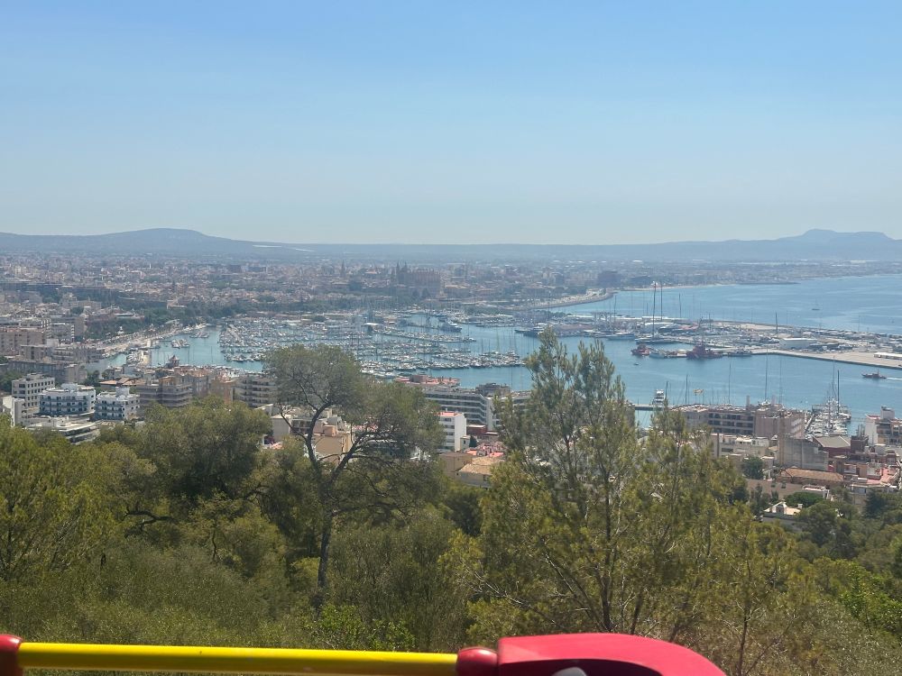A view of Palma de Mallorca from a distance. It is possible to see the sweep of the bay, a huge marina and the cathedral behind.