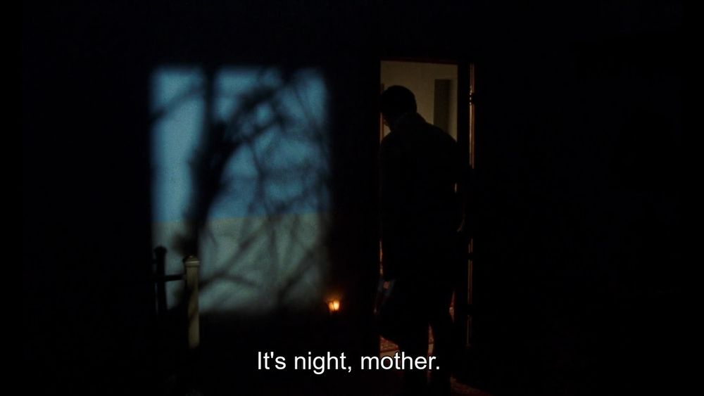Still from Universal Language; a man stands silhouetted in a doorway to a dark room with a patch of moonlight webbed with shadow on the blue and green wall, a nightlight glowing in the centre of the frame like a lamp.