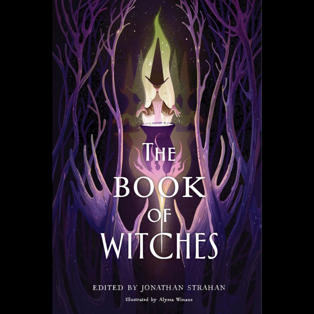 The Book of Witches