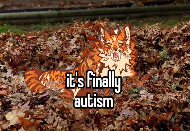 Meme draw over of my night elf feral druid Sian in his autumn cat form laying in leaves with the text "It's finally autism" in bold over his body.