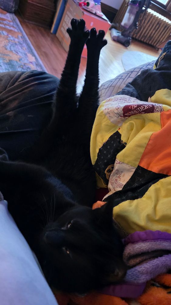 a black cat laying on his back next to my leg, stretching his rear legs out like hes some kind of muppet-ass mother fucker  


hes laying next to a yellow and orange quilt made with HP material and we kept it bc it was homemade with love a long time ago