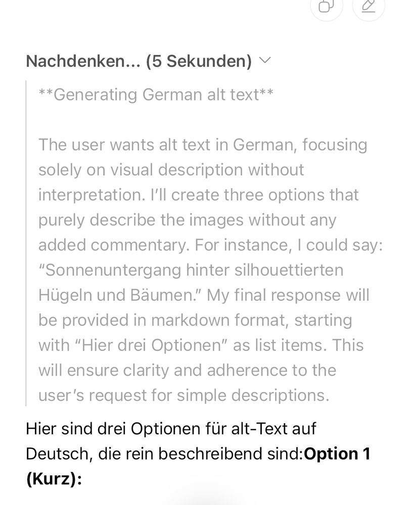 Chat GPT gibt sich selbst Infos und sagt sich was der User möchte 