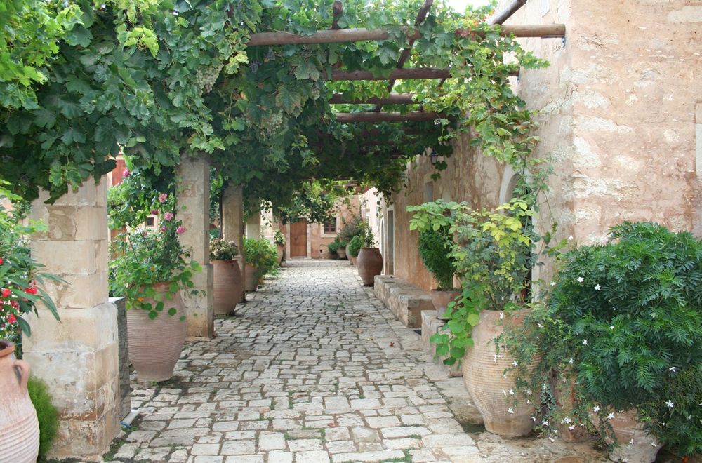 Gepflasterter Weg, von grünen Pflanzen, teilweise in großen Vasen und überdacht durch wilden Wein gesäumt.