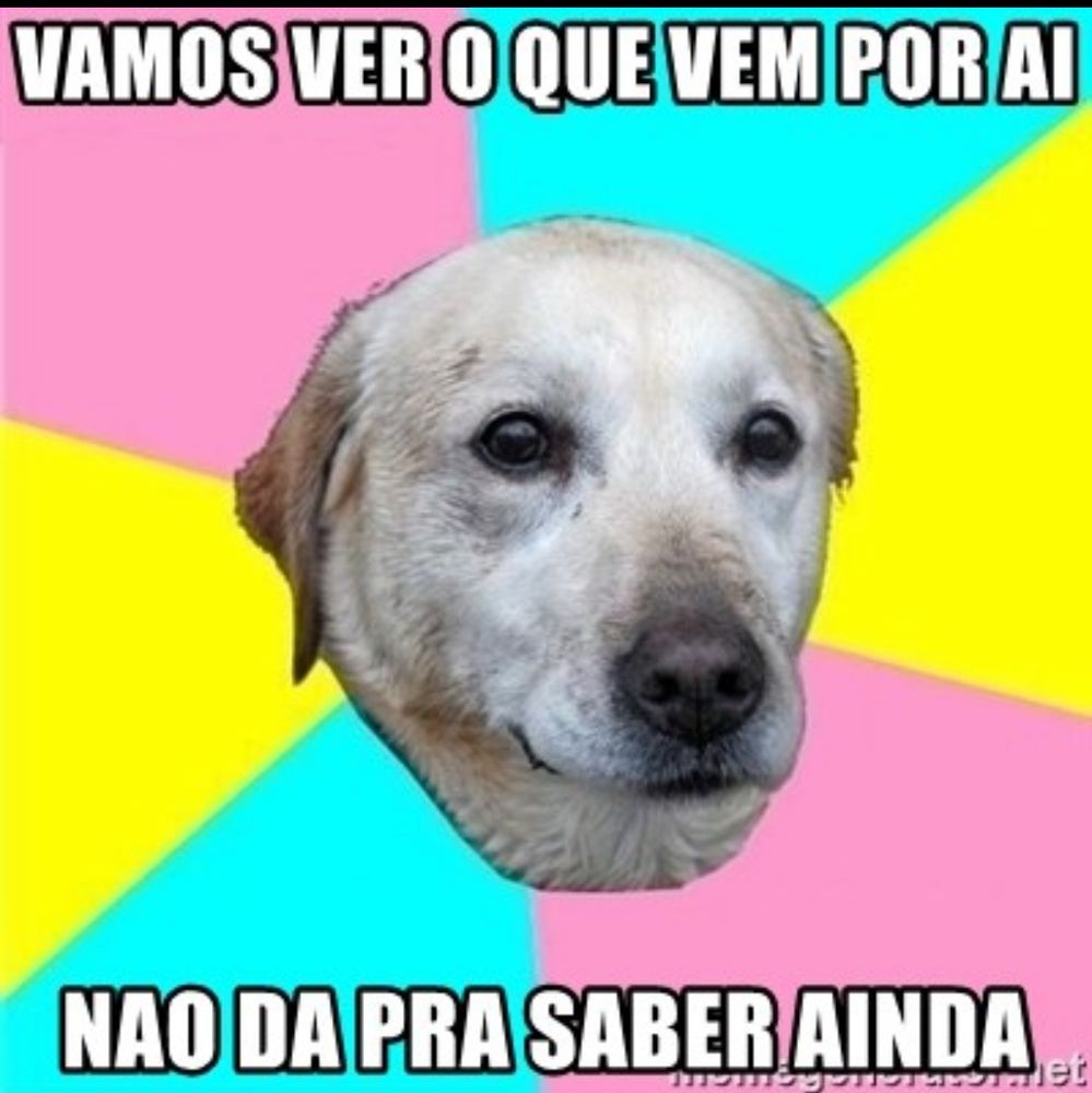 Foto somente da cabeça de um cachorro com os escritos “vamos ver o que vem por aí, não dá para saber ainda “