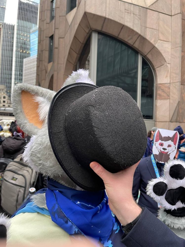 Lfm Feb 01 25
I have been blinded by a hat while a sp- err furry watches in the background 