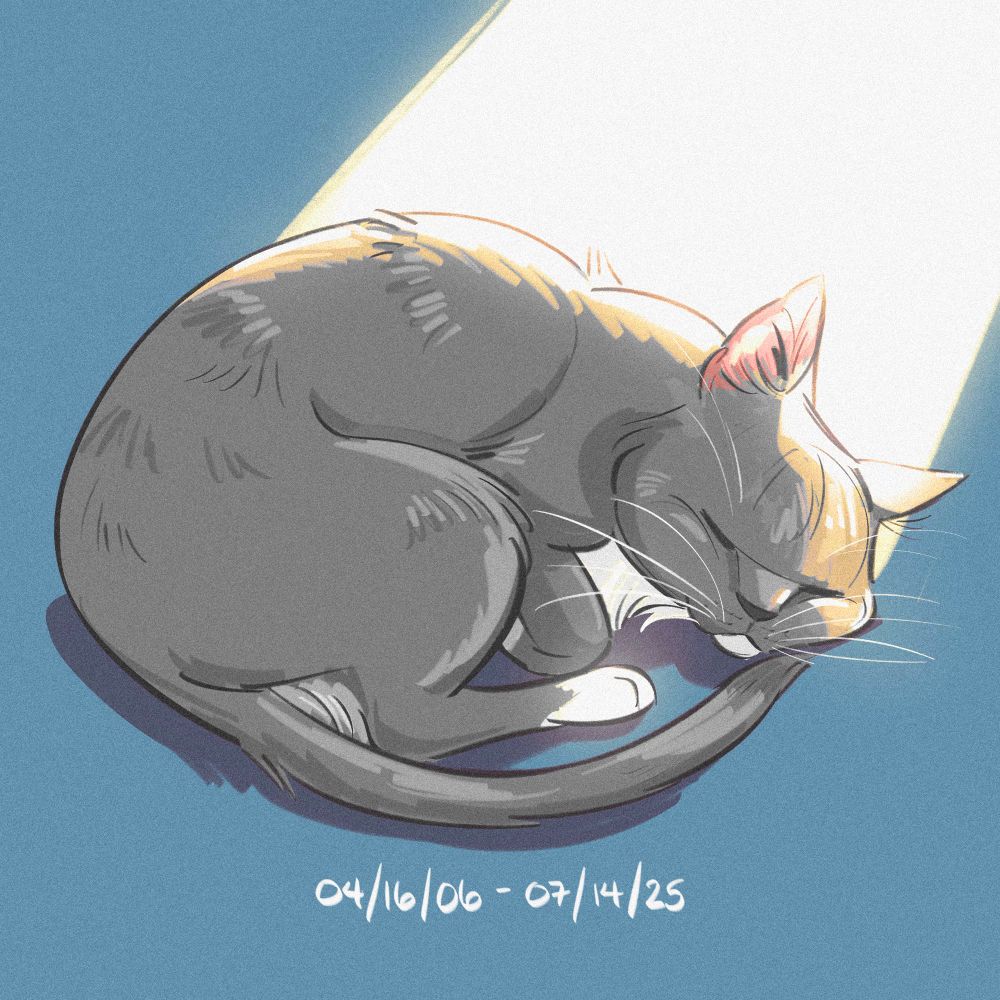 A colored digital painting of a gray and white tuxedo cat asleep and curled up in a ball while a beam of sunlight shines on her face. Below the cat, white handwritten text reads, “April 16th, 2006 to July 14th, 2025.”