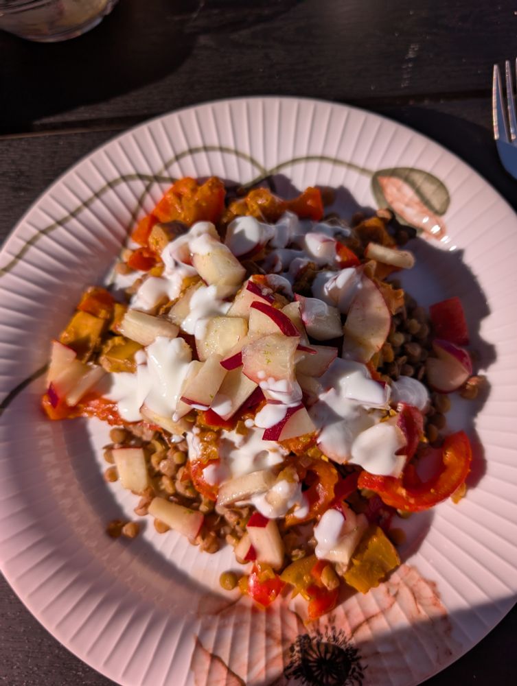 Grøntsags tikka med linser og limenarinerede nektariner på en kähler tallerken.