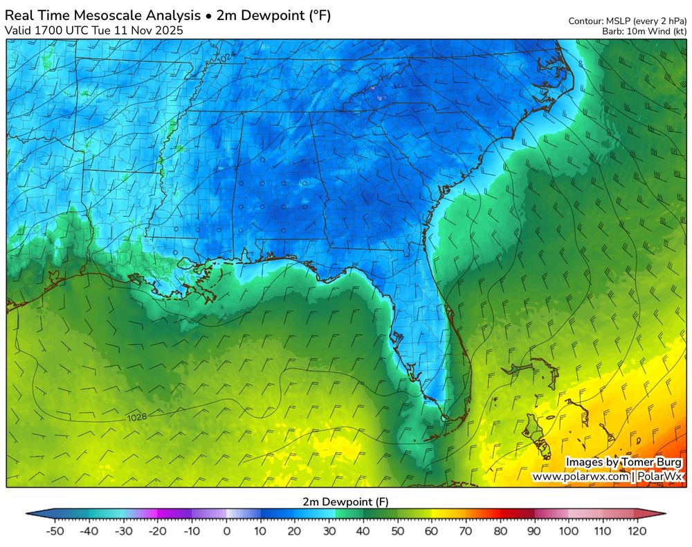 Tomer Burg's RTMA centered over the Southeast. Plotted is dewpoint (shaded, deg F), 10 m wind (barbs), and MSLP (every 2 mb, thin black lines). 