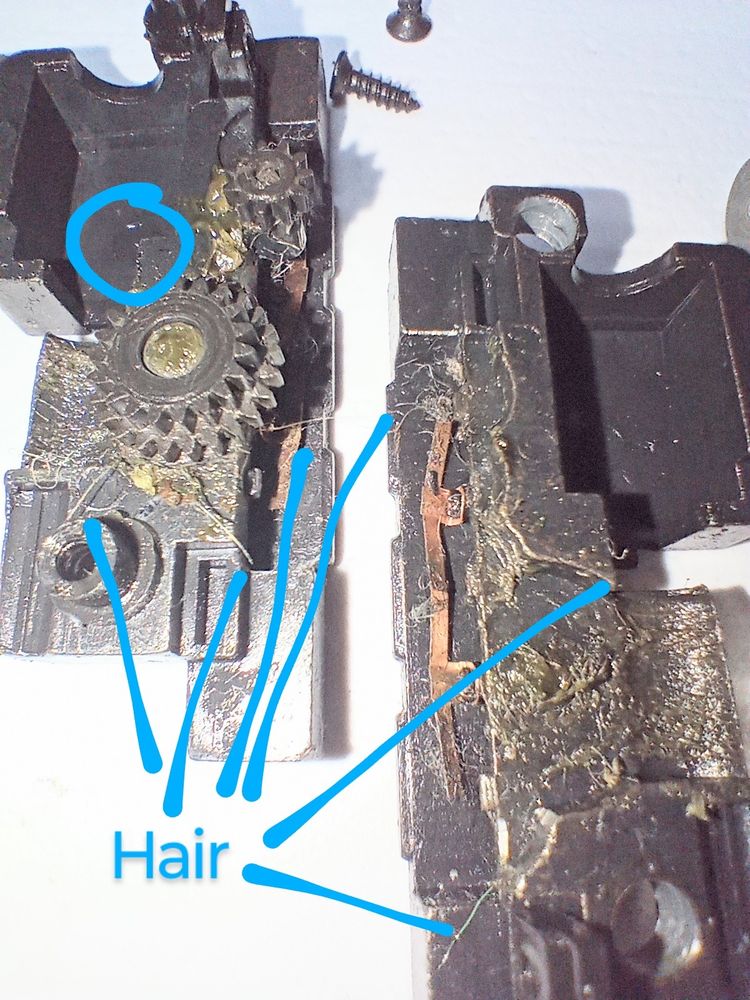An old split-frame Bachmann MDT, taken apart. It is caked with grease. Numerous small hairs (or carpet strands?) are trapped within the grease. Blue lines point to some of the longer hairs.
As if there wasn't enough grease, it has also been over-lubricated with a very thin oil, which has finally made it's way to the brushes in the motor. There is a small indentation in one side of the frame where the motor sits, noted with a blue circle. Upon removal of the motor, oil pooled in the indentation. A thin oily film covers everything.