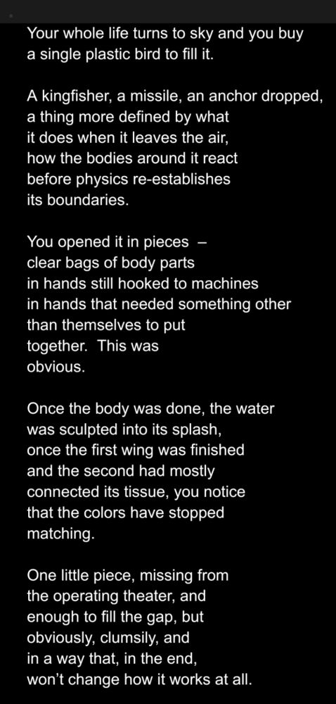 Your whole life turns to sky and you buy
a single plastic bird to fill it.

A kingfisher, a missile, an anchor dropped,
a thing more defined by what
it does when it leaves the air,
how the bodies around it react
before physics re-establishes
its boundaries.

You opened it in pieces  –
clear bags of body parts
in hands still hooked to machines
in hands that needed something other
than themselves to put
together.  This was
obvious.

Once the body was done, the water
was sculpted into its splash,
once the first wing was finished
and the second had mostly
connected its tissue, you notice
that the colors have stopped
matching.

One little piece, missing from
the operating theater, and
enough to fill the gap, but
obviously, clumsily, and
in a way that, in the end,
won’t change how it works at all.
