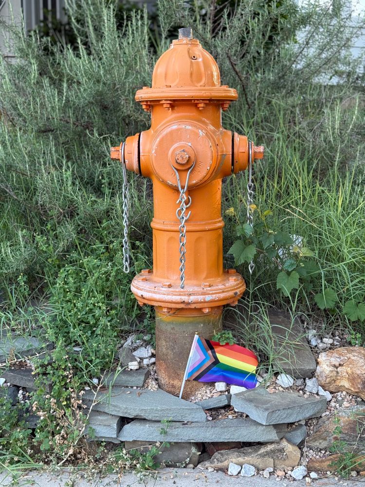 Orange fire hydrant with a pride flag planted in the ground at its base. 