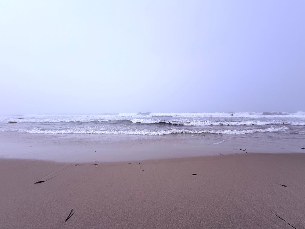 Foggy beach view looking out to waves