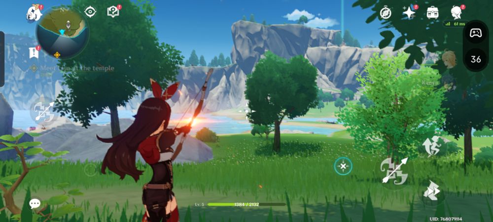 30 - 40 FPS