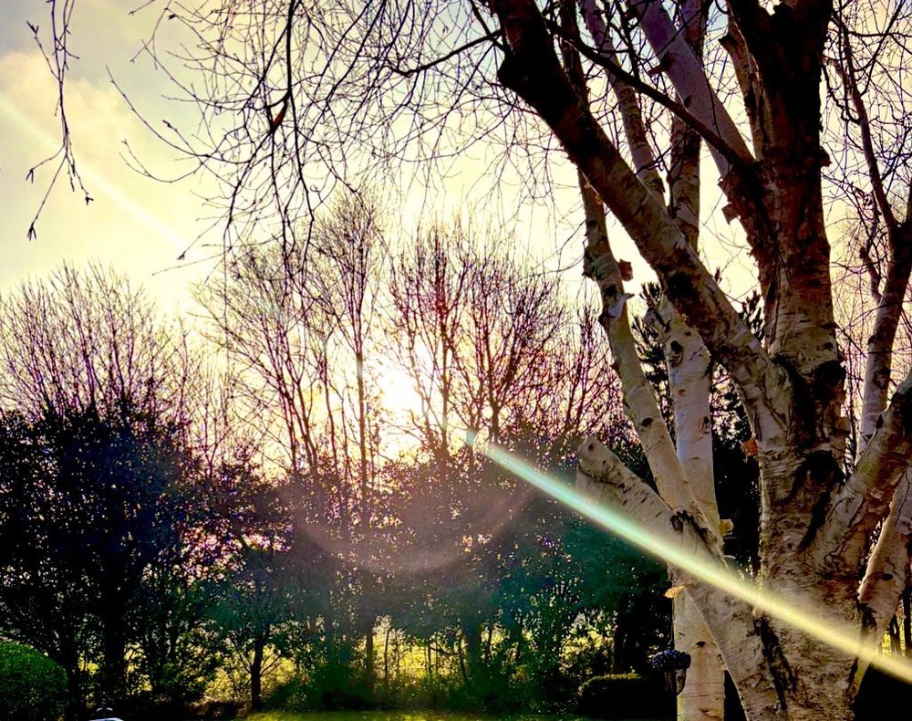 Sunny morning made my morning 😎
#sun #after #grey 