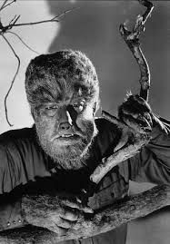 A picture of the classic wolfman look, from black and white movies. Not very successfully hiding behind a small branch. He's wearing a shirt, with a fur covered face and hands, a dog's snout and some small pointy teefs.