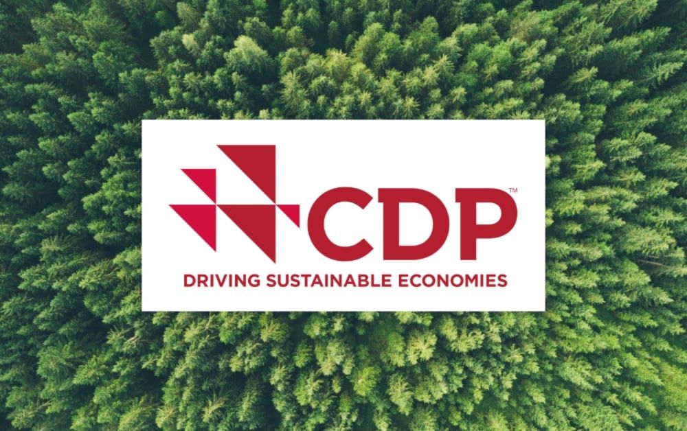 Santa Monica Earns Top Recognition by Carbon Disclosure Project - Santa Monica Next