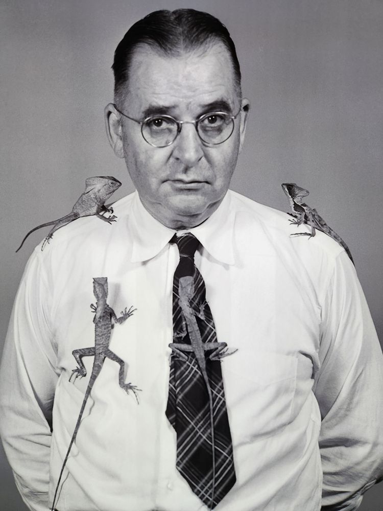 A black and white photo of a middle aged white man dressed in a white dress shirt and plaid tie with round glasses. Four lizards are crawling on his shirt and tie.