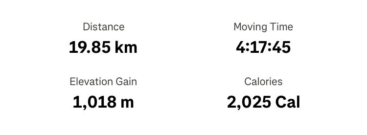 Strava activity summary displaying 19.85 km distance, 4 hours 17 minutes 45 seconds moving time, 1,018 meters elevation gain, and 2,025 calories burned for Mount Vesuvius hike​​​​​​​​​​​​​​​​