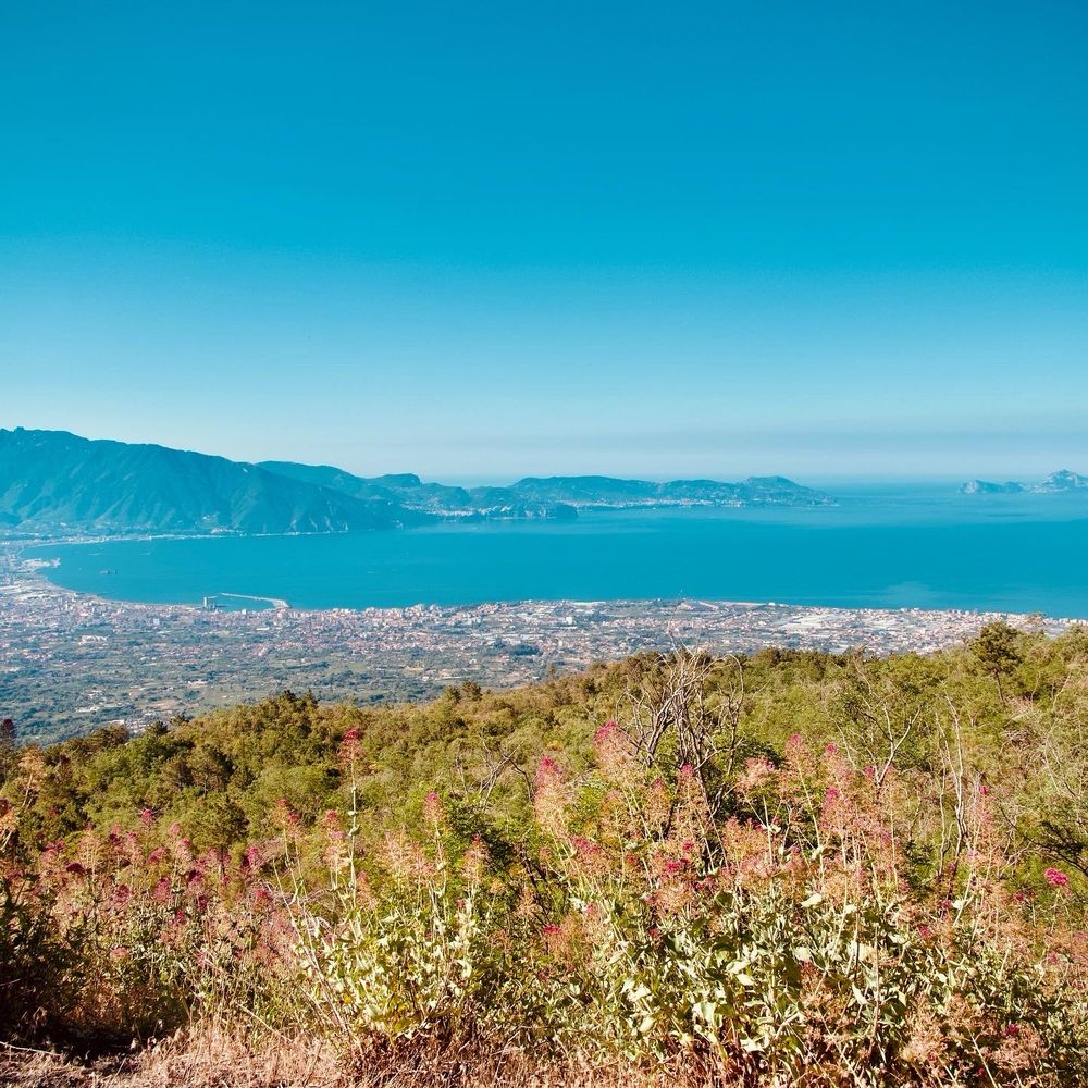 Panoramic coastal view from mountain elevation showing blue ocean, distant islands, urban development below, and colorful wildflowers in foreground vegetation