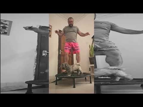 Quando você tem um jump em casa, mas o corpo de urso!