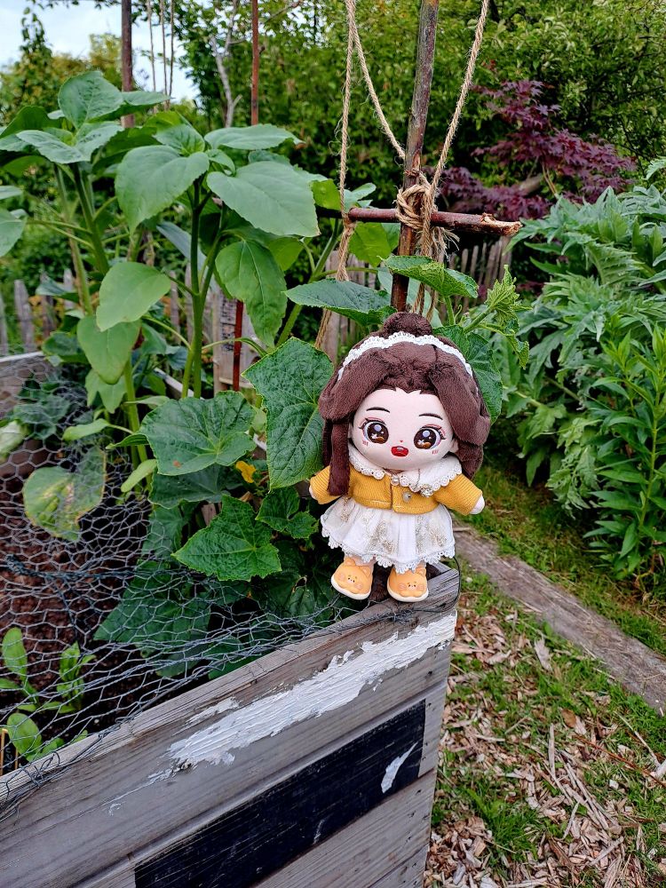 lianlian standing next to vegetable plants 