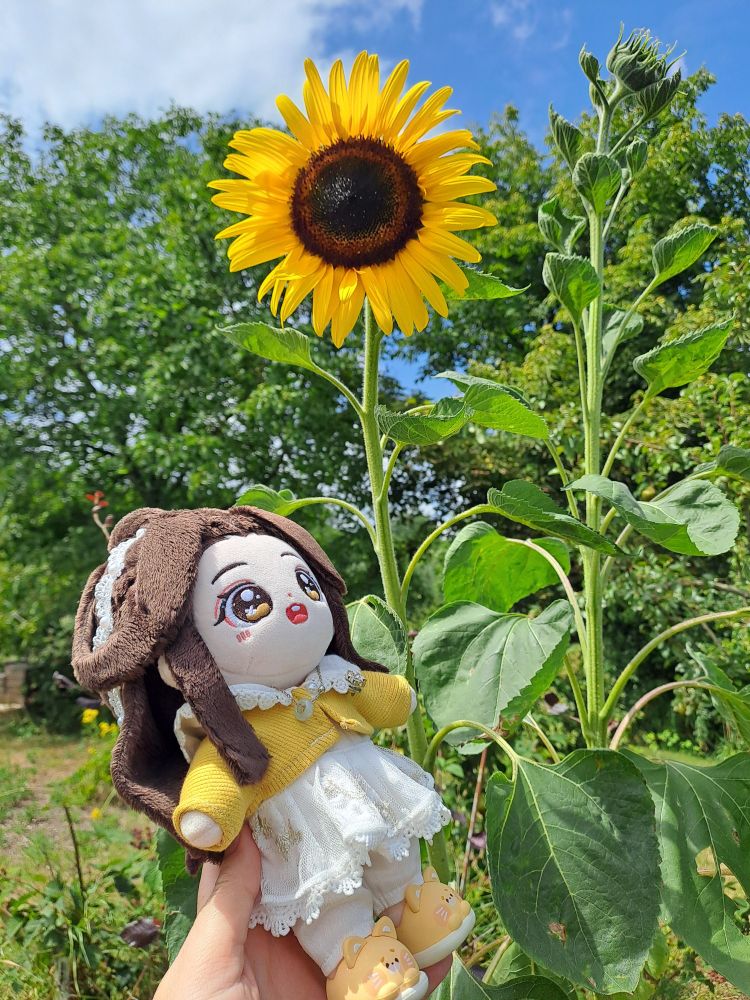lianlian and a sunflower