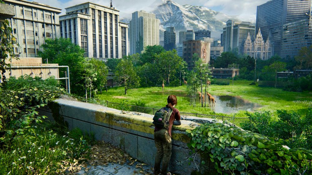 screenshot from the game, The Last of Us, Part 1.
image of Ellie resting on the edge of a building as she overlooks a field of green grass, trees, and giraffes grazing in the distance. a moment of calm amidst a series of horrifying events.