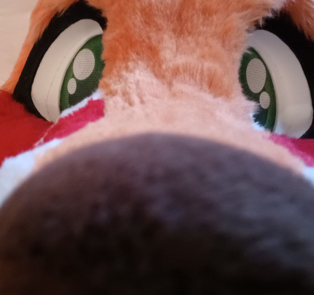 me irl staring really close to the camera