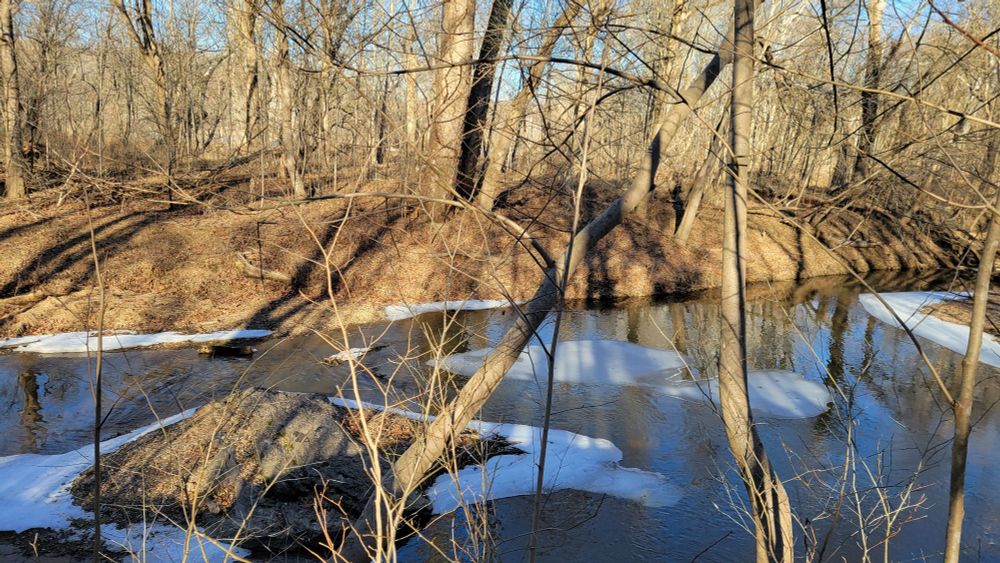 A landscape photo of a slightly icy river, bare trees lining both sides. The sun is creating long shadows.