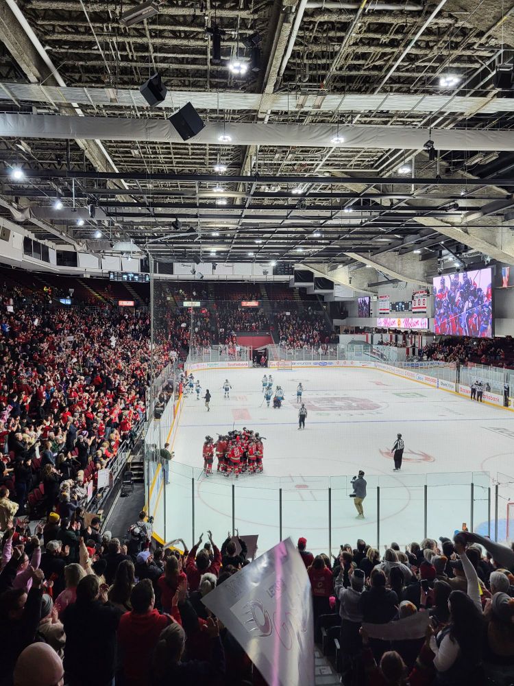 The Ottawa Charge celebrate their overtime goal against the New York Sirens 