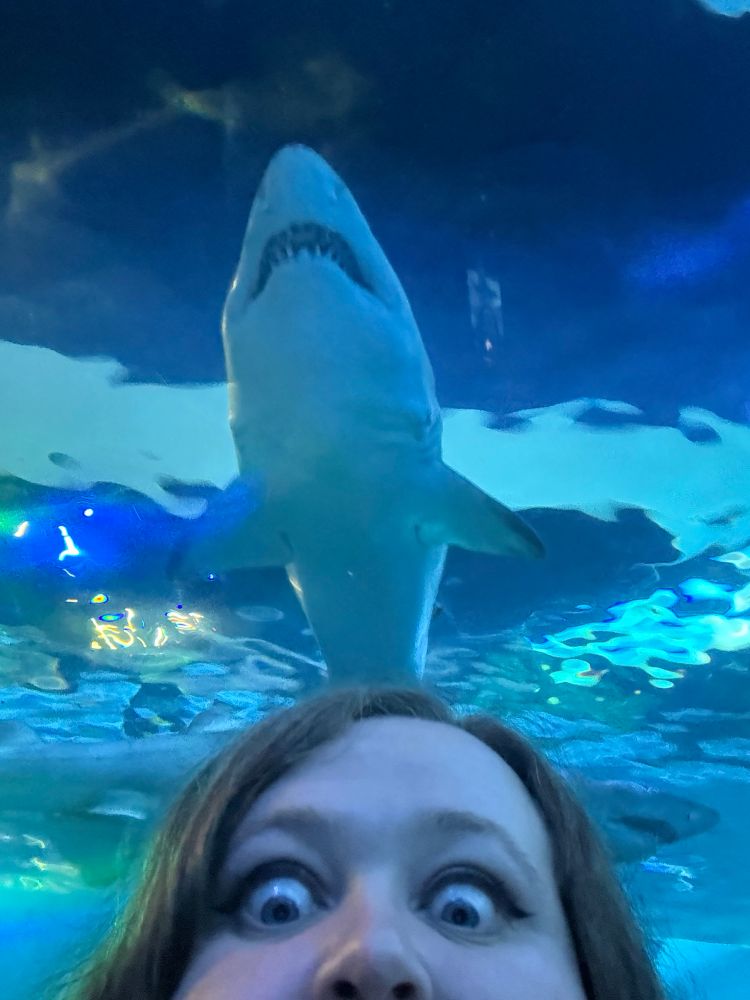 Selfie of the author’s eyes peeking out from the bottom of the screen with an aquarium shark in the background 