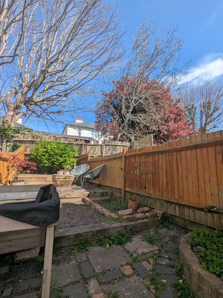 A garden with weeds in between the patio slabs and in the raised beds
