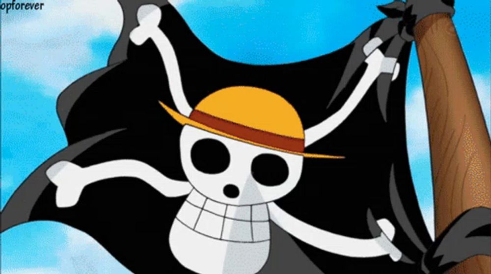 a pirate flag with a skull wearing a hat