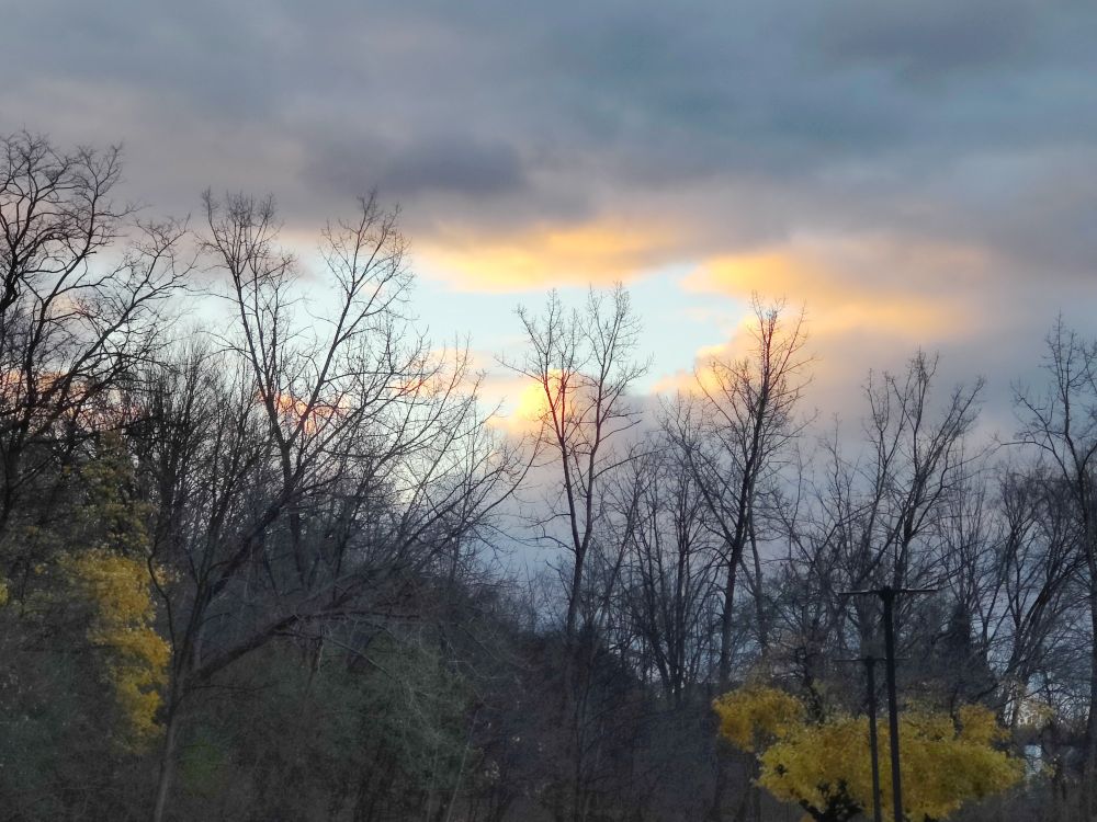 Bright sunlight and sunrise colors peeking through dark grey clouds above leafless trees.