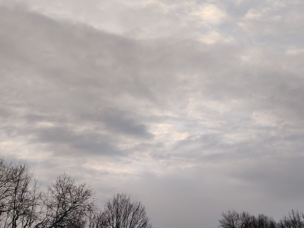 Subtle colors peeking through clouds in an overcast sky above leafless trees.