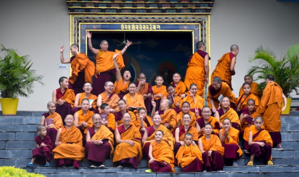 Tibetan Nuns Project Gives Progress Update on Retreat Center for Buddhist Nuns of Shugsep Nunnery in Dharamsala - Buddhistdoor Global