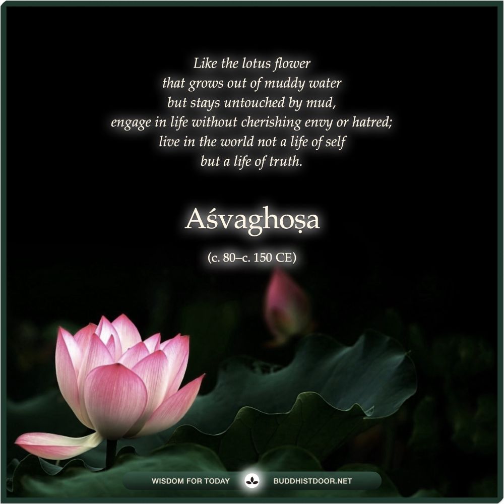 Buddhist Quote for Today:

Like the lotus flower that grows out of muddy water but stays untouched by mud, engage in life without cherishing envy or hatred; live in the world not a life of self but a life of truth. — Aśvaghoṣa (c. 80–c. 150 CE)

See more: buddhistdoor.net